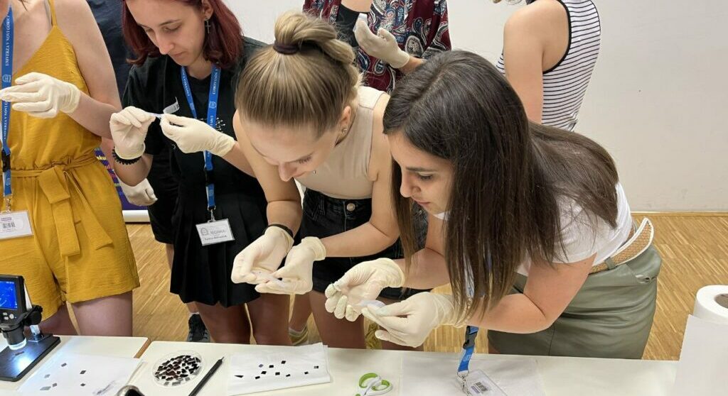 270590ab-701a-4007-9154-c62c3721e615-1024x768